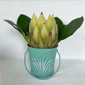 Handmade Artificial Protea in Seashell Bucket Floral Arrangement Beach Decor